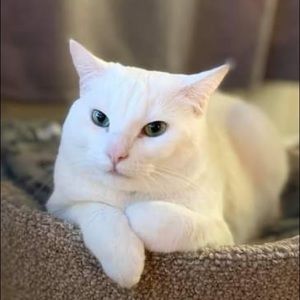 Meet your Posher, Brooke